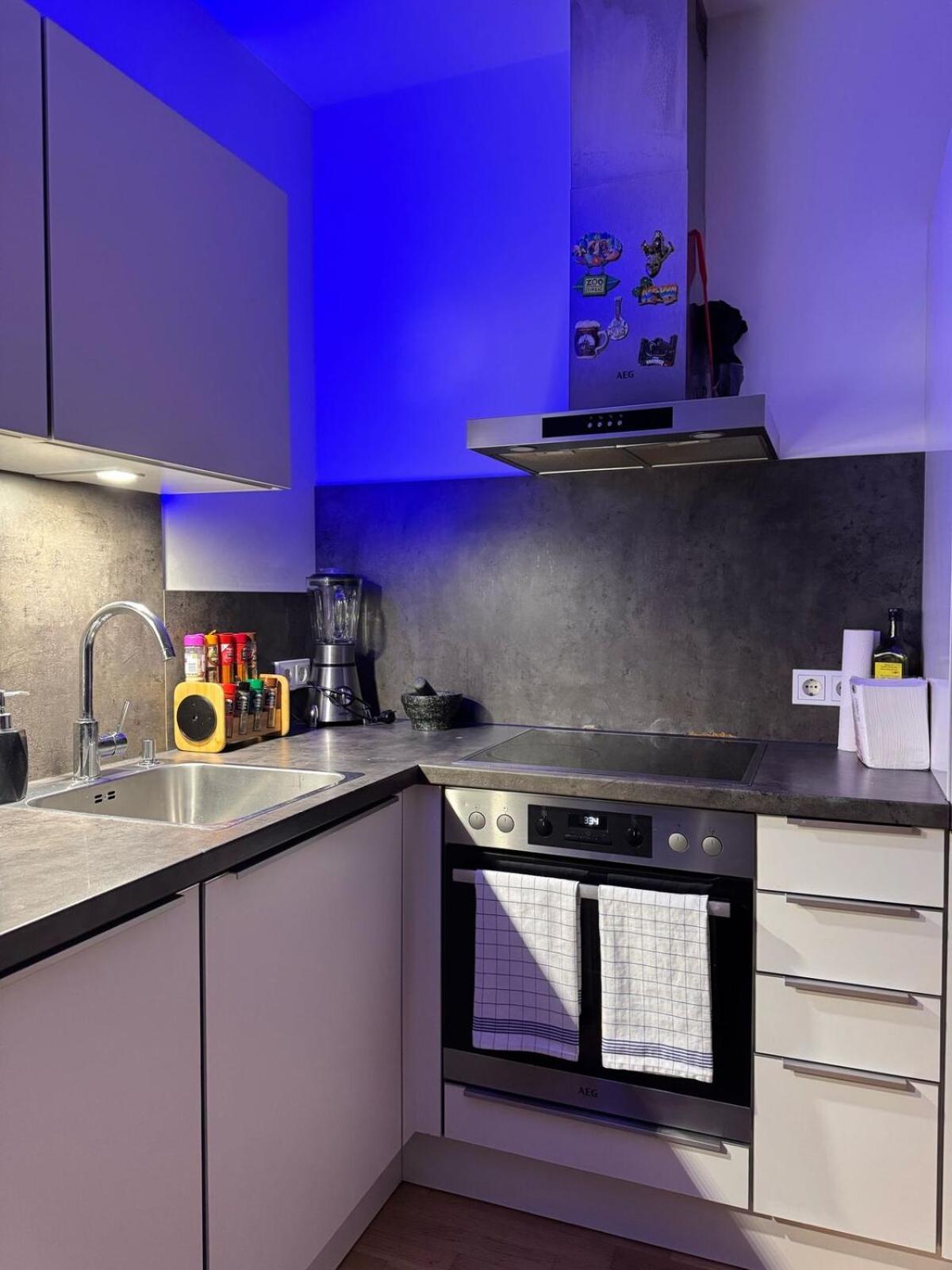 Apartment In The Heart Of Dresden